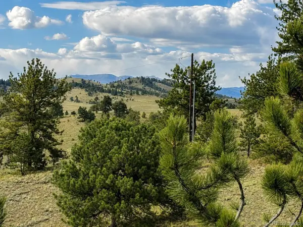 115 Black Canyon Ct, Hartsel, CO 80449