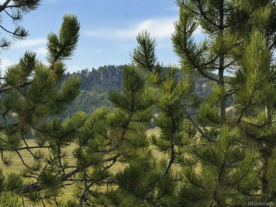 115 Black Canyon Ct, Hartsel, CO 80449 - #3