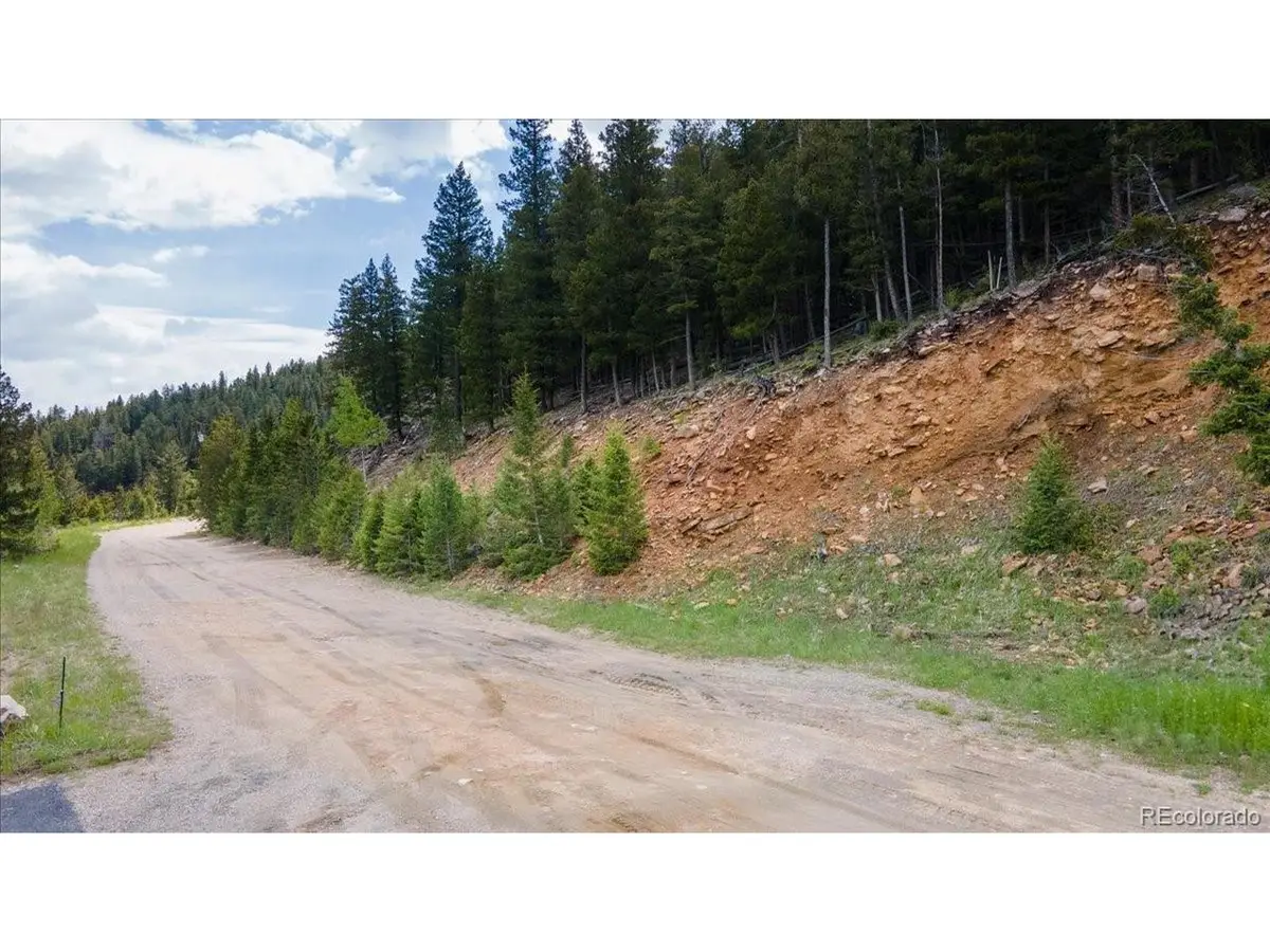 Clear Creek Rd, Evergreen, CO 80439 - #1