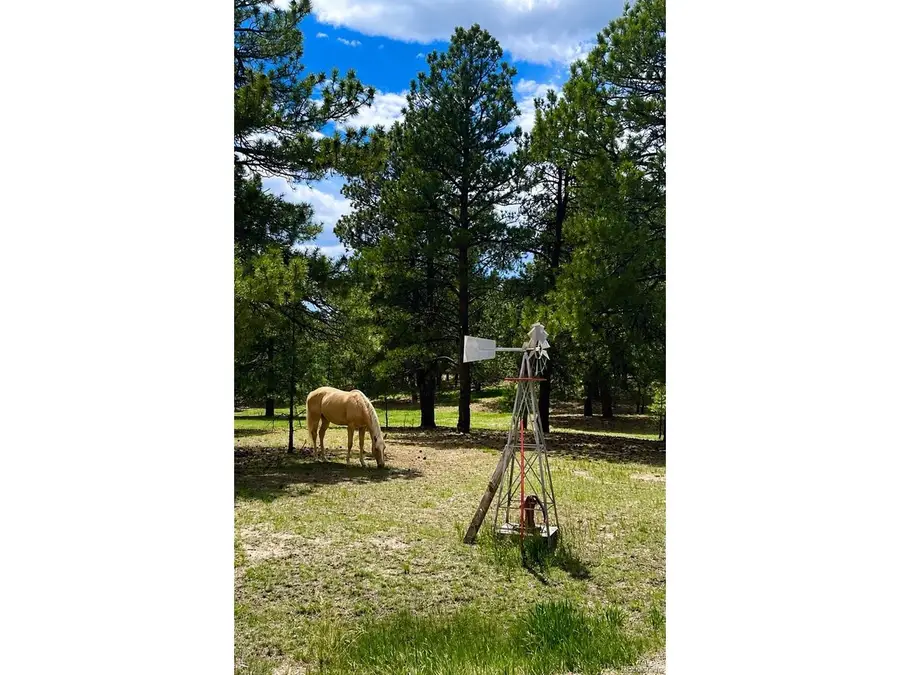 34525 Forest Park Dr, Elizabeth, CO 80107 - #2