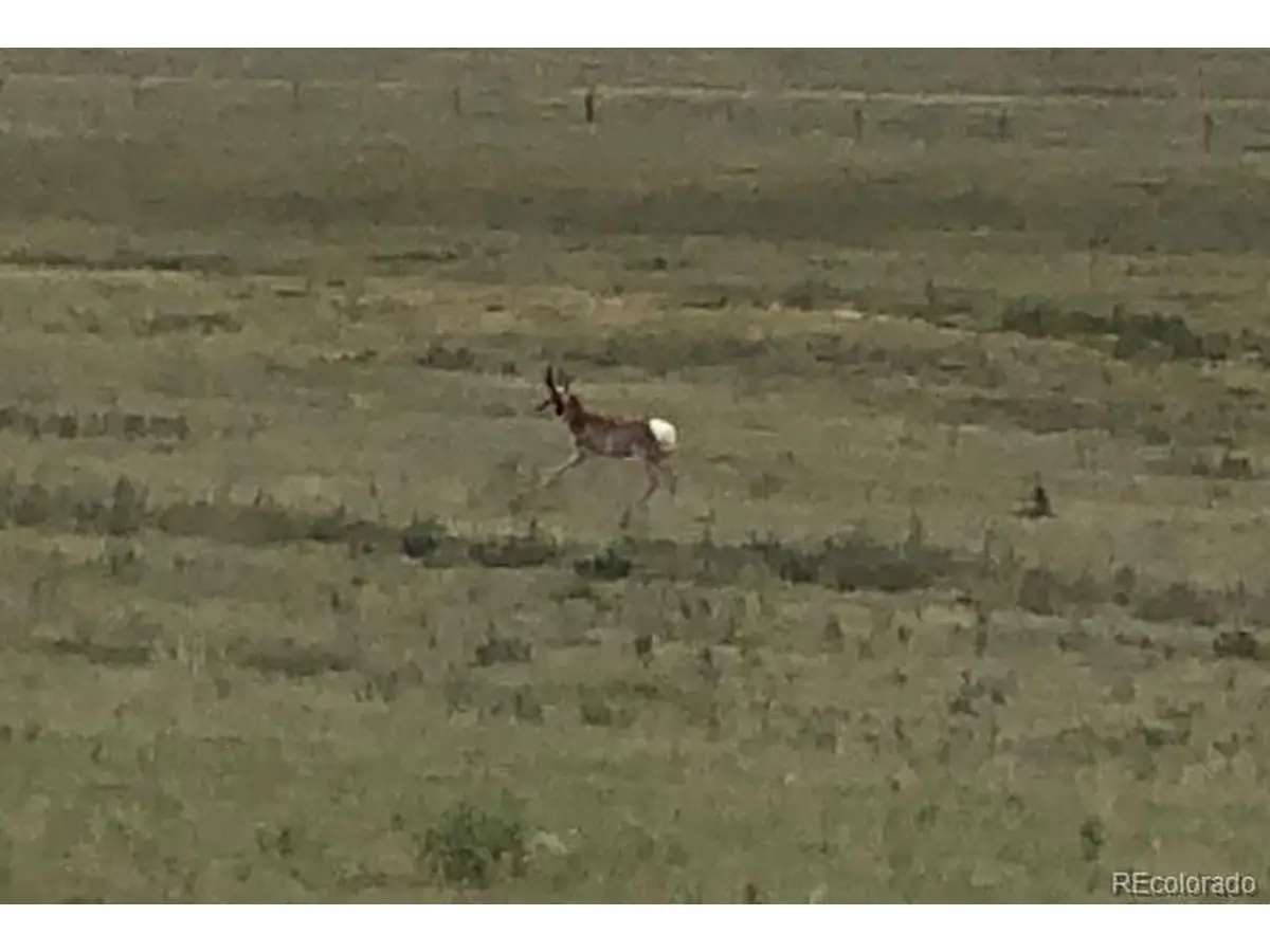 Tbd County Road 2, Atwood, CO 80722 - #1