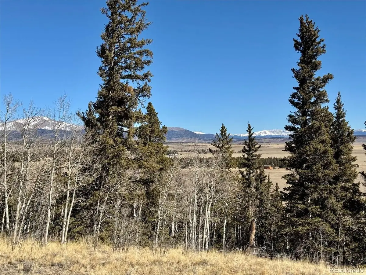 1872 High Creek Rd, Fairplay, CO 80440 - #1