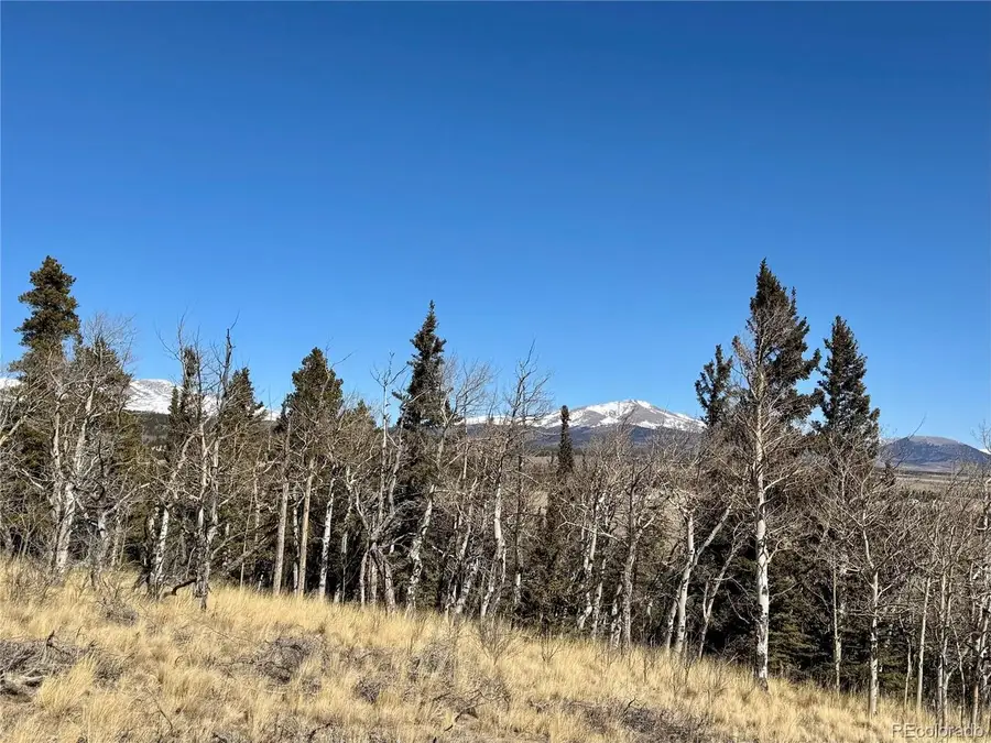 1872 High Creek Rd, Fairplay, CO 80440 - #3