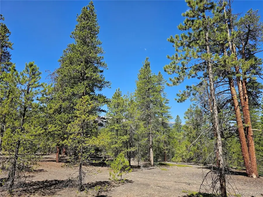 426 Sequoia Dr, Twin Lakes, CO 81251 - #3