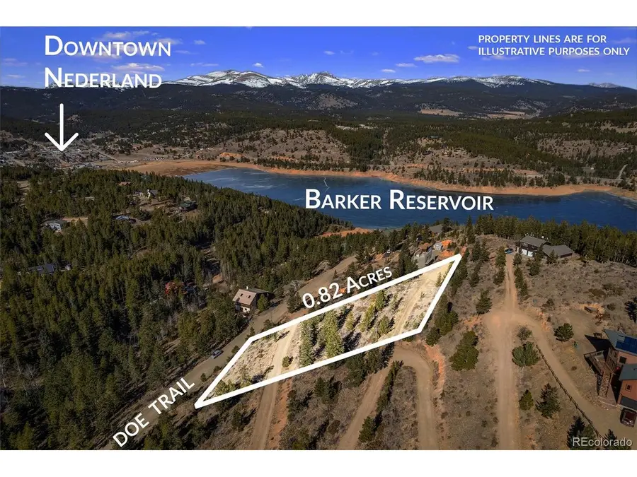 58 Doe Trl, Nederland, CO 80466 - #3