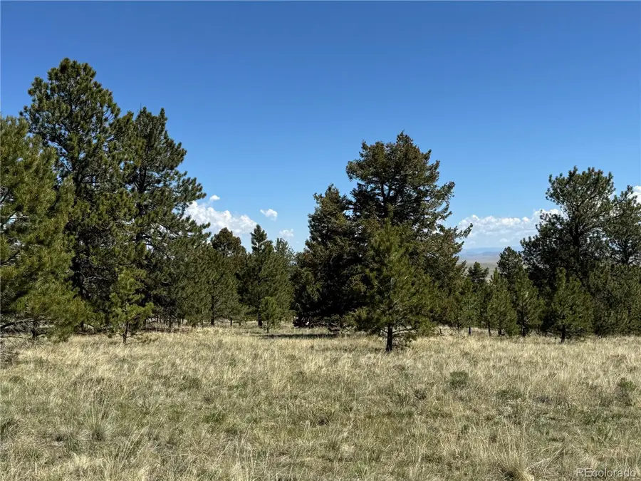 Address Withheld By Seller, Hartsel, CO 80449 - Image #2
