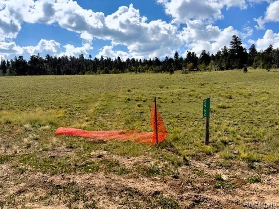 5962 Cherokee Trl, Hartsel, CO 80449 - Image #3