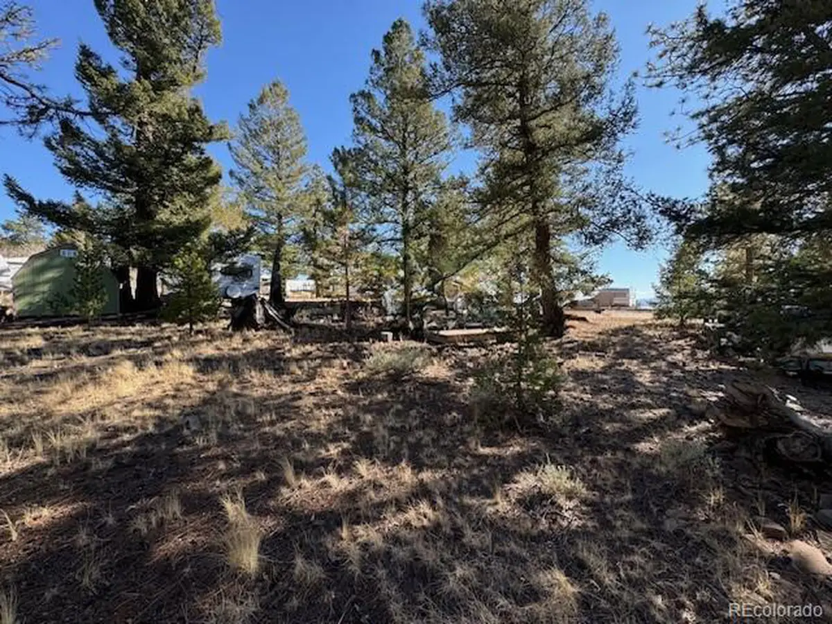 186 Lantern Loop, Hartsel, CO 80449 - Image #1