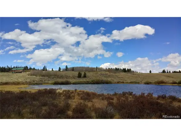 Foxtail Ct, Fairplay, CO 80440