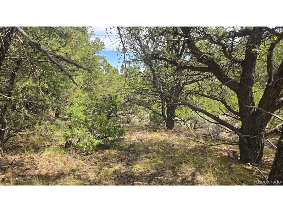 7892 Tiernan Rd, Fort Garland, CO 81133 - Image #2