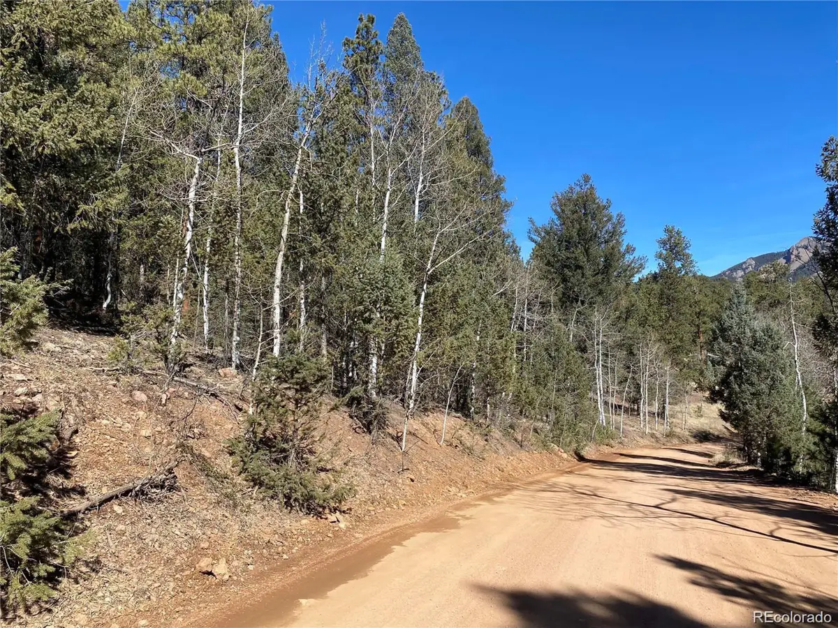 12373 S Polly Dr, Pine, CO 80470 - Image #1