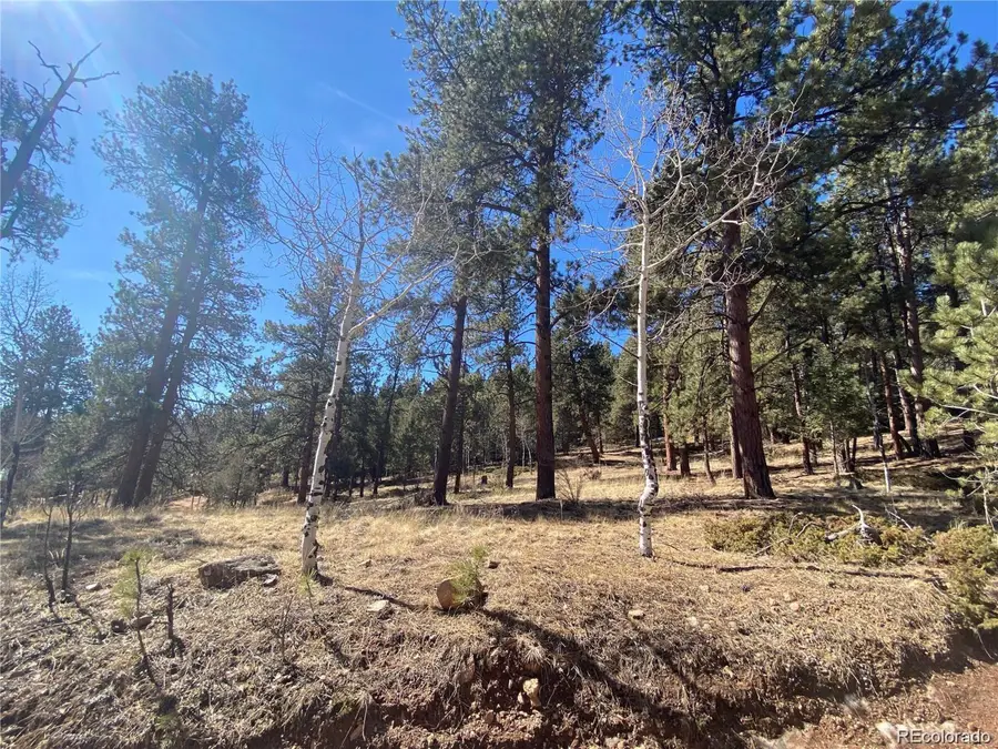 12373 S Polly Dr, Pine, CO 80470 - Image #2