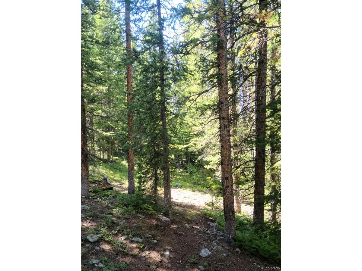 473 Bum Dr, Fairplay, CO 80440 - Image #1