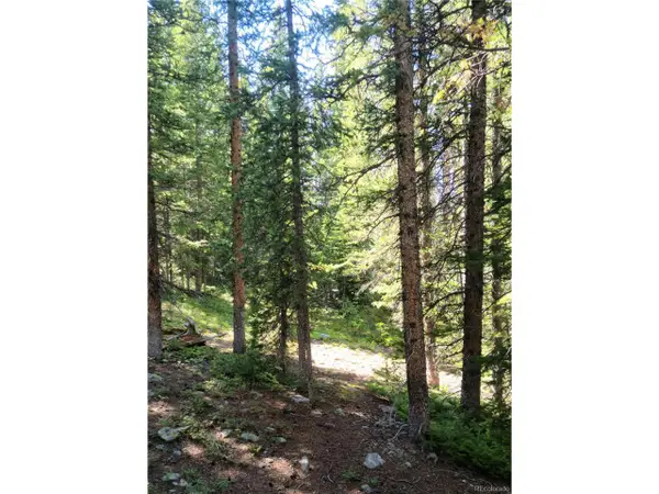 473 Bum Dr, Fairplay, CO 80440