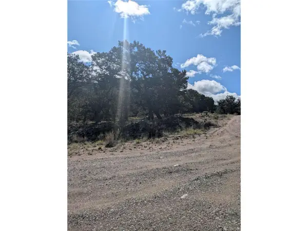 1813 Rockyview Way, Crestone, CO 81131