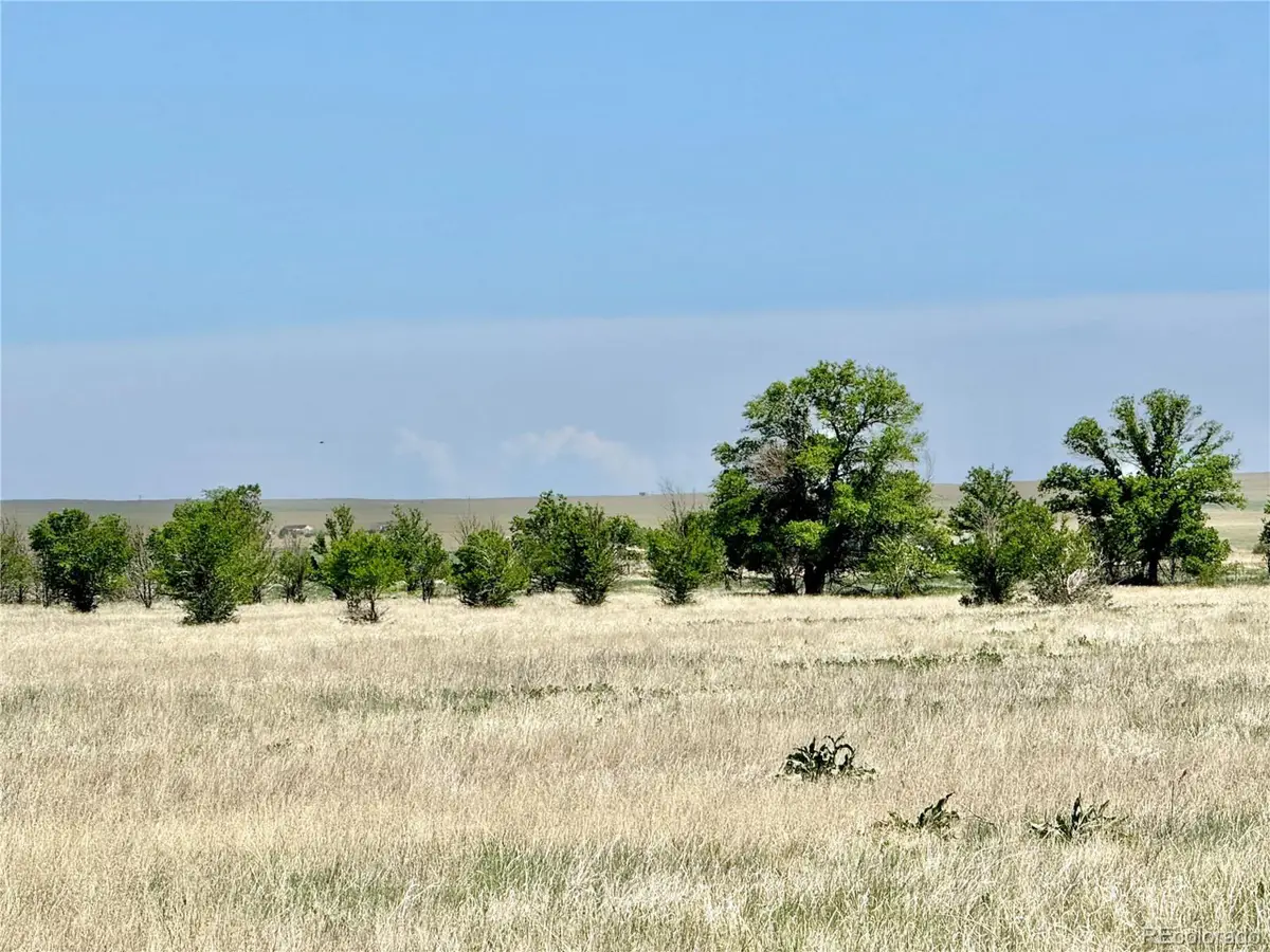 1 S E. Ellicott Rd, Calhan, CO 80808 - Image #1