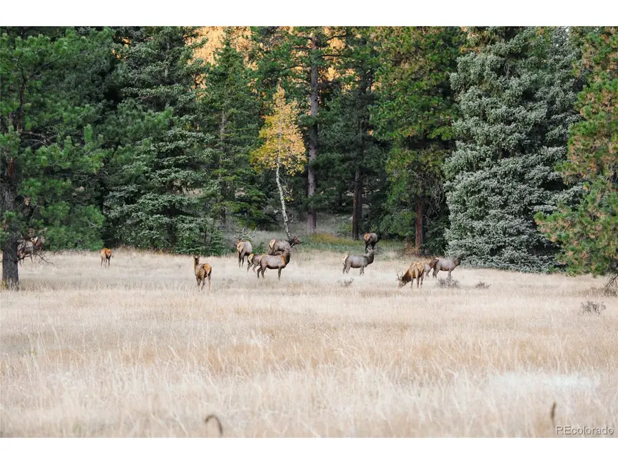 Address Withheld By Seller, Evergreen, CO 80439 - Image #2