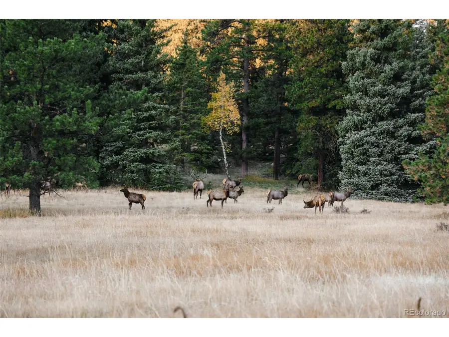 Address Withheld By Seller, Evergreen, CO 80439 - Image #3