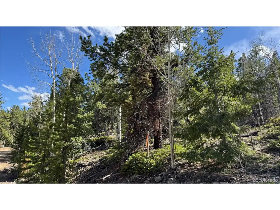 5 Church Placer Rd, Central City, CO 80427 - #2