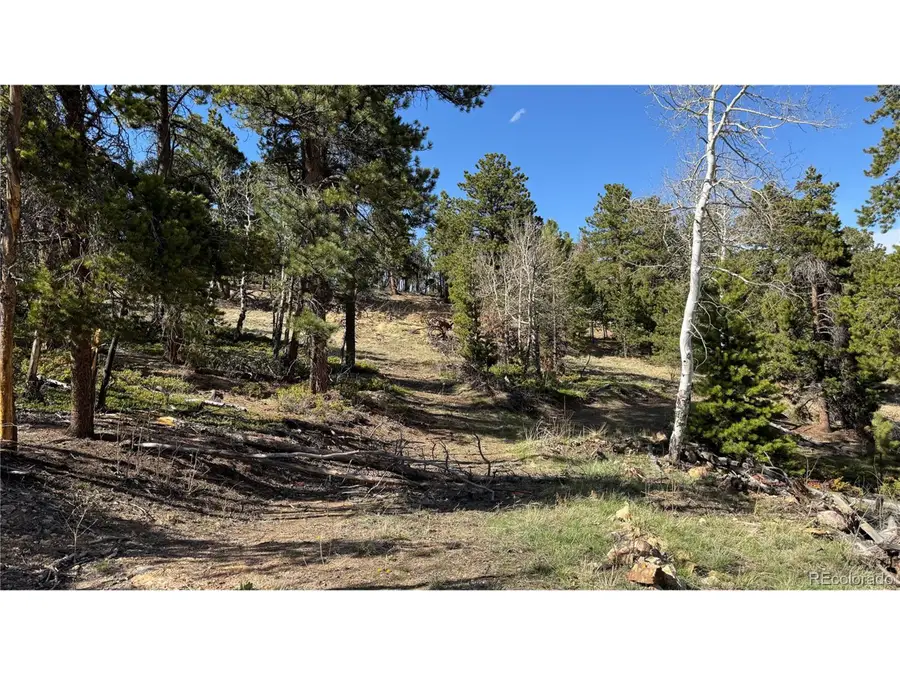 5 Church Placer Rd, Central City, CO 80427 - #3