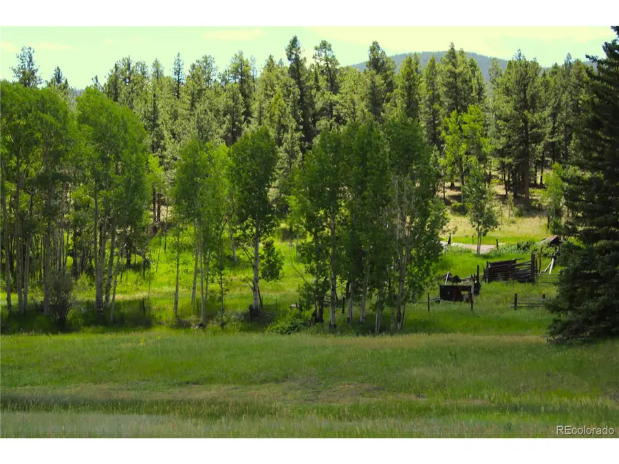 Address Withheld By Seller, Lake George, CO 80827 - Image #3