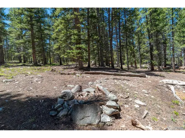 176 Gold Trail Cir, Fairplay, CO 80440