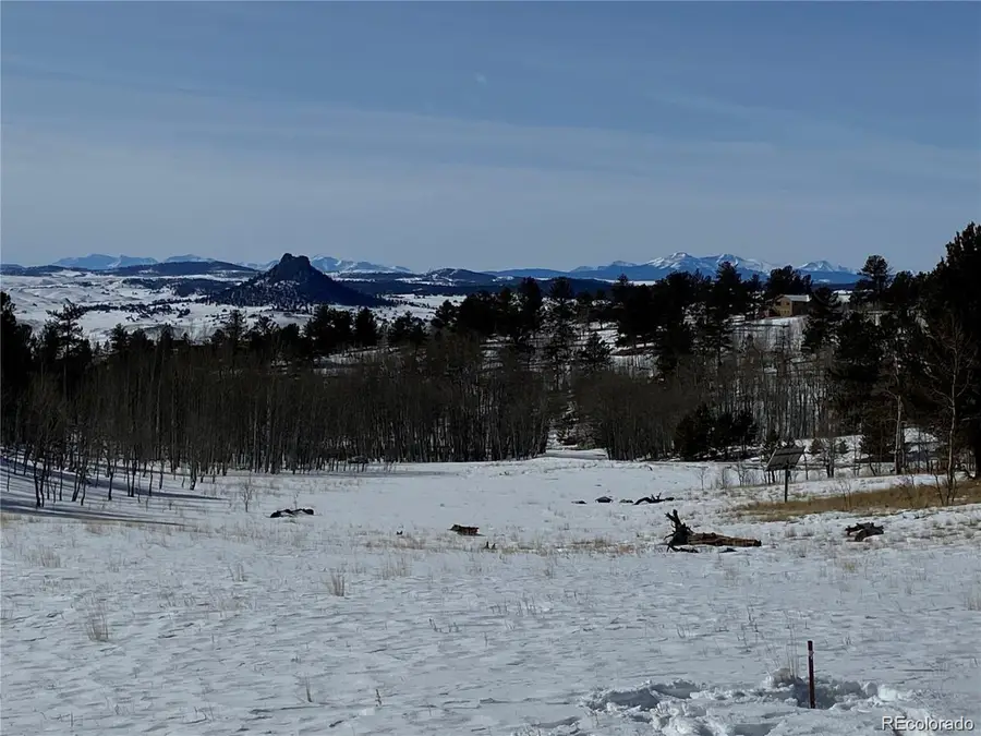 1 Bonus Gulch Way, Jefferson, CO 80456 - #3