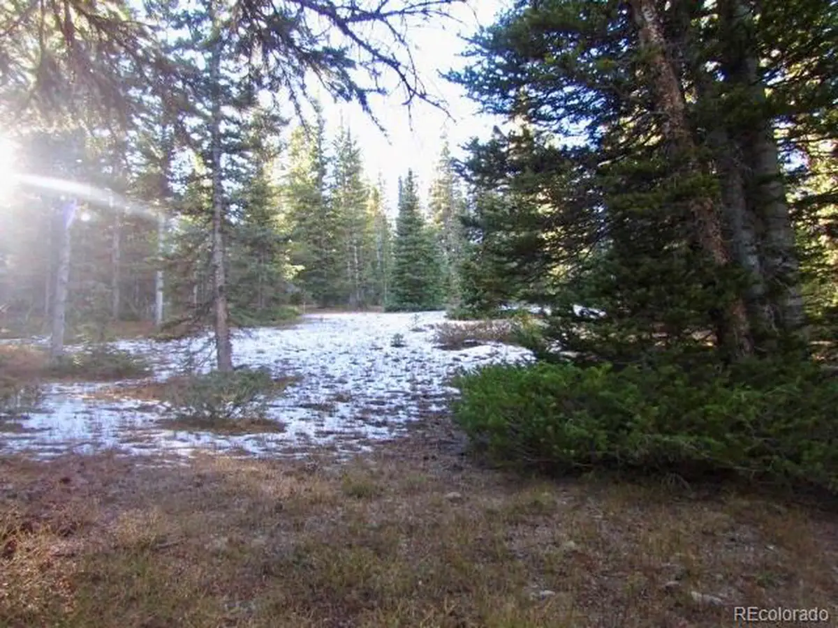 633 Valley Of The Sun Dr, Fairplay, CO 80440 - #1