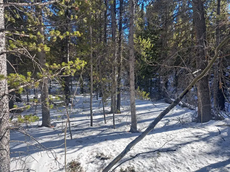121 Secluded Ct, Fairplay, CO 80440 - Image #3