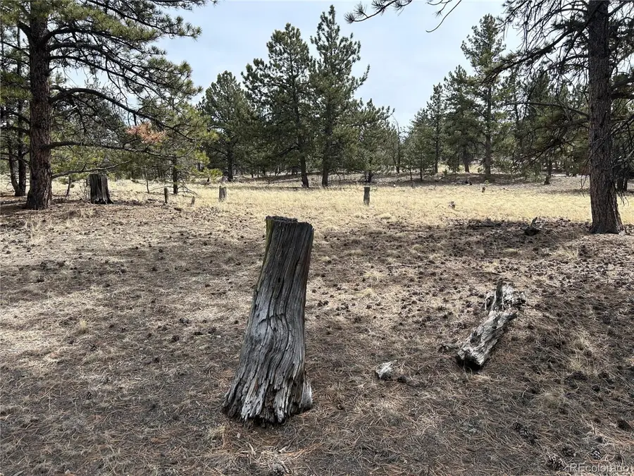 2146 Wagon Wheel Rd, Hartsel, CO 80449 - #2