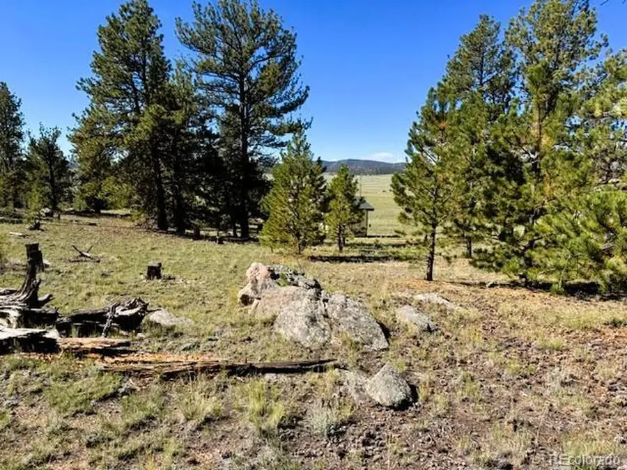 126 Zion Ct, Hartsel, CO 80449 - #2