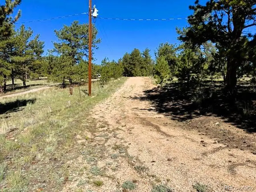 126 Zion Ct, Hartsel, CO 80449 - #3