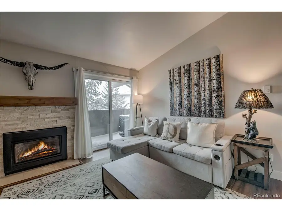 1061 W Beaver Creek Blvd #N304, Avon, CO 81620 - Image #2
