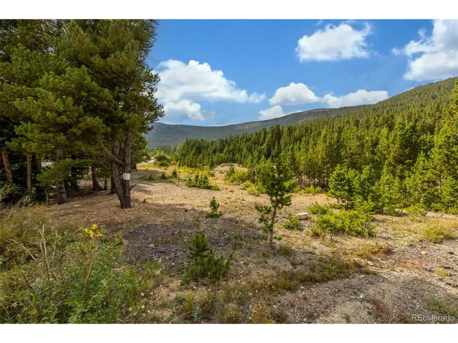 Beaver Rd, Idaho Springs, CO 80452 - #3