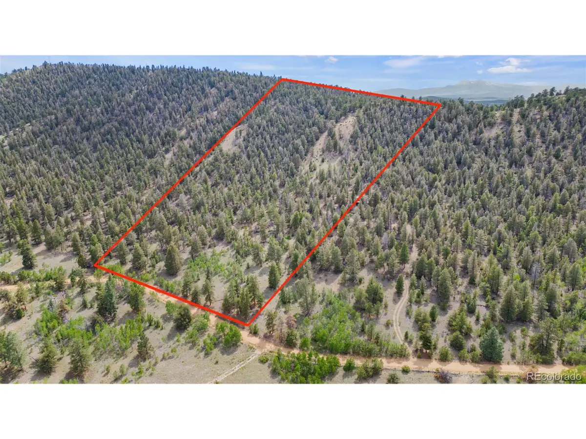 1833 Fitzsimmons Dr, Hartsel, CO 80449 - #1