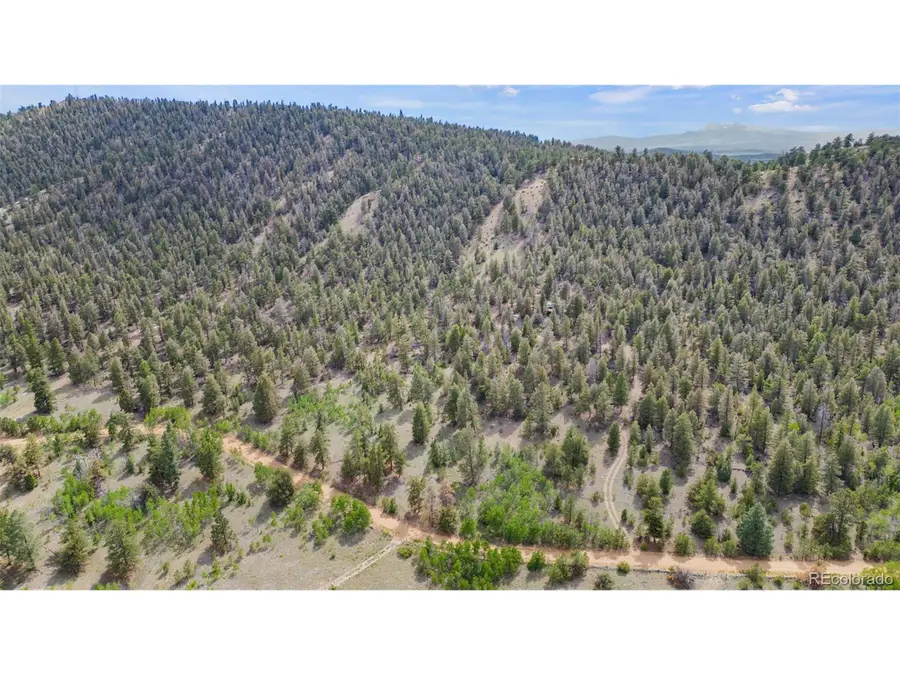 1833 Fitzsimmons Dr, Hartsel, CO 80449 - #2