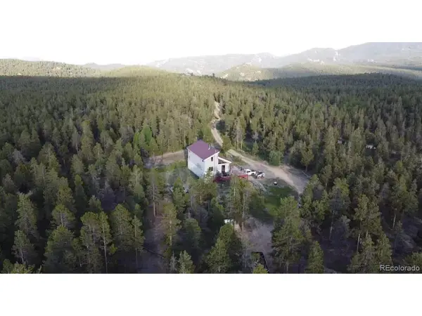 1101 County Road 99, Black Hawk, CO 80422