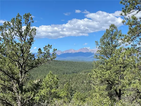 14200 County Rd 28.8, Weston, CO 81091