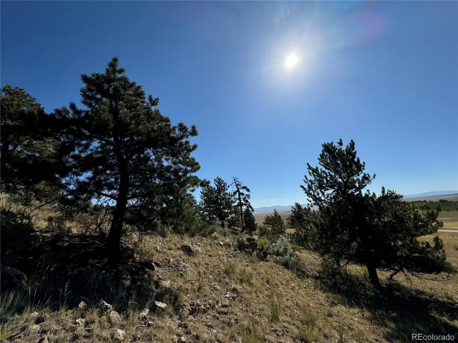 123 Campfire Rd, Hartsel, CO 80449 - #2