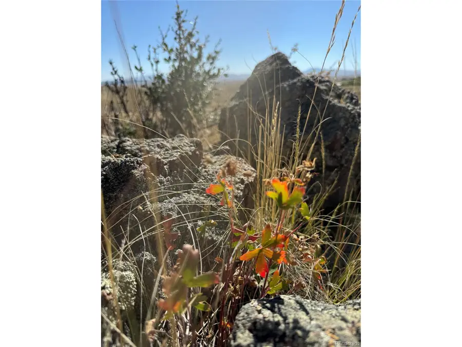 123 Campfire Rd, Hartsel, CO 80449 - #3