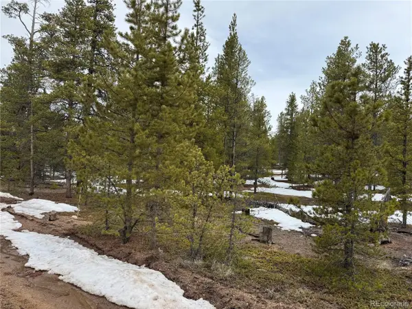 322 Fir Dr, Twin Lakes, CO 80461