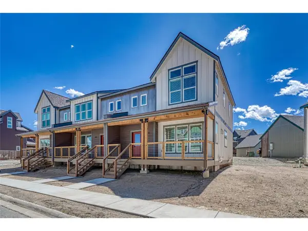 1400 Silver Vault St, Leadville, CO 80461