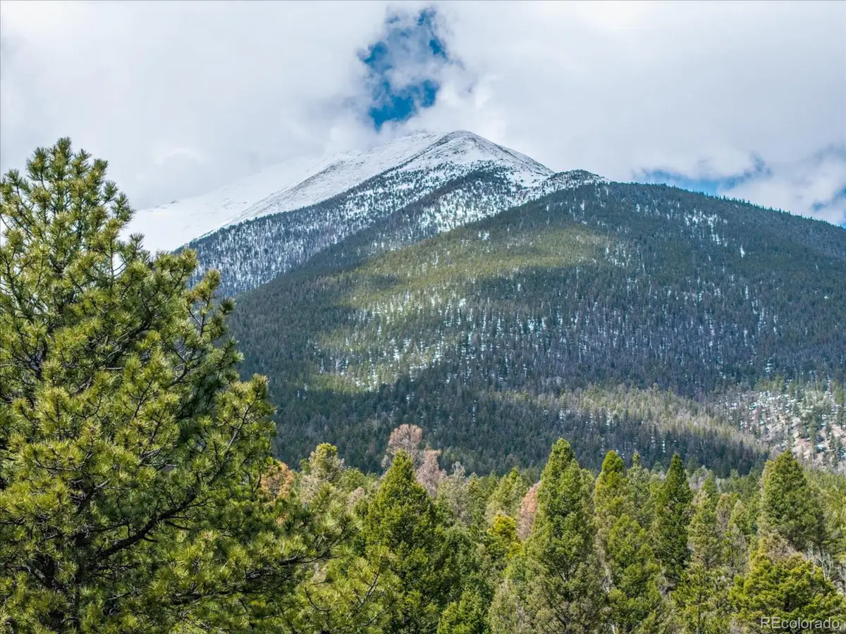 24900 County Road 339, Buena Vista, CO 81211 - Image #1