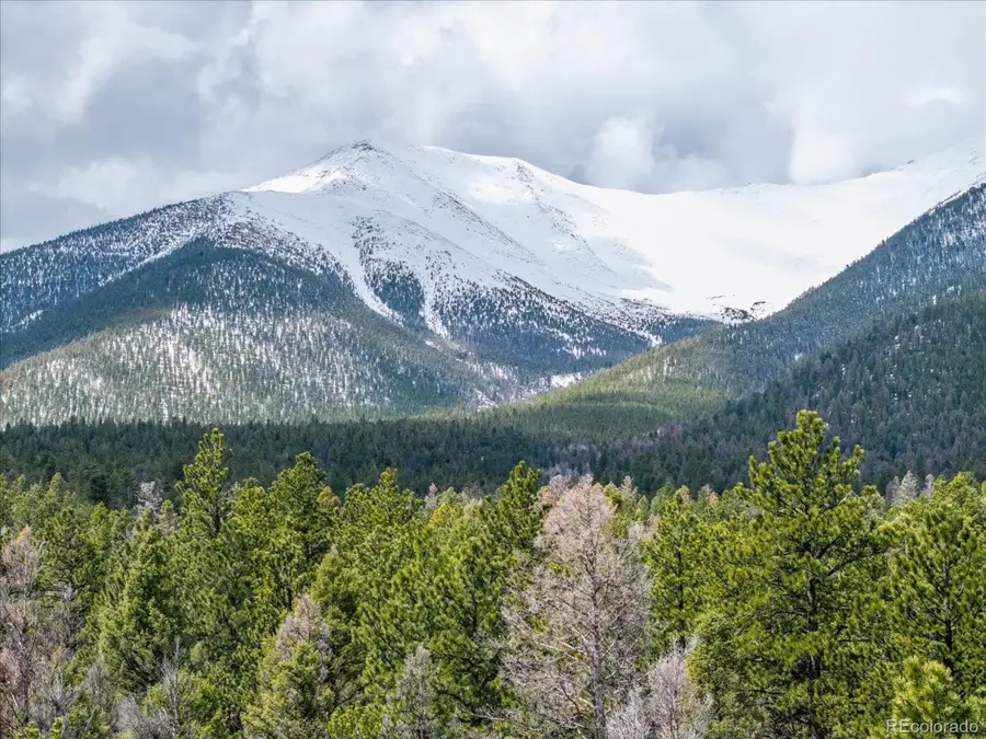 24900 County Road 339, Buena Vista, CO 81211 - Image #3