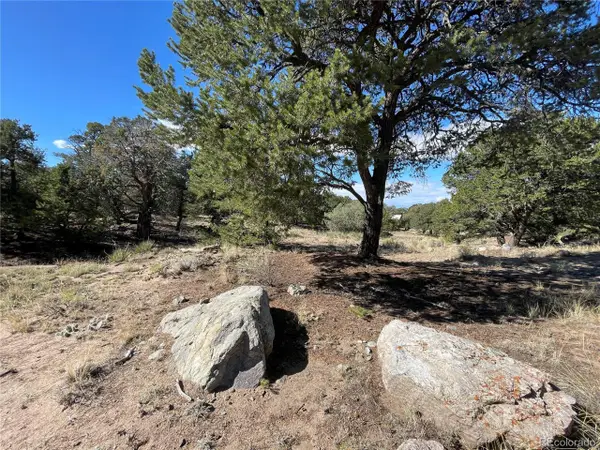 3547 Fallen Tree Pl, Crestone, CO 81131