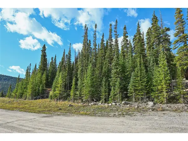 159 Hamilton Ln, Breckenridge, CO 80424