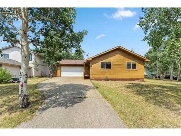 316 3rd St, Fairplay, CO 80440