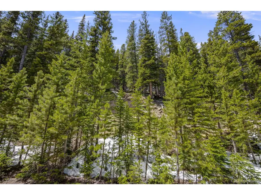 1 Nebraska Cir, Idaho Springs, CO 80452 - Image #2