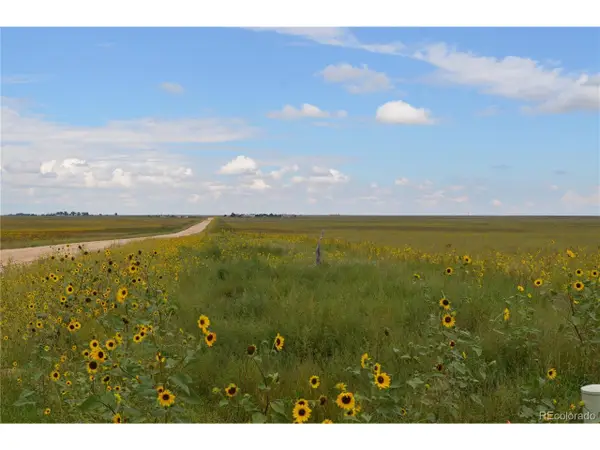 6 County Rd 2, Rush, CO 80833