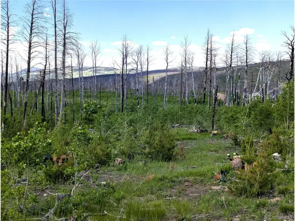 1590 Douglas Ln, Fort Garland, CO 81133